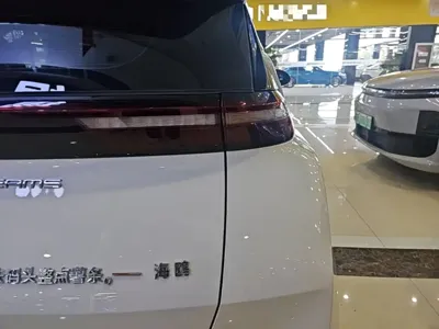 BYD Seagull