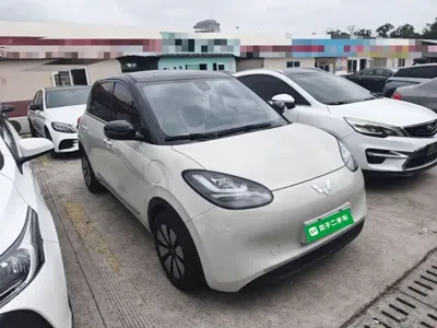 Wuling Bingo