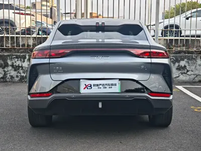BYD L EV