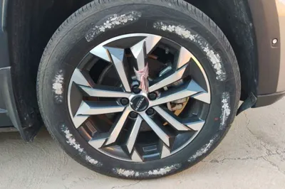 Haval H Dog