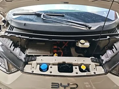 BYD Seagull