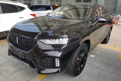 WEY VV7