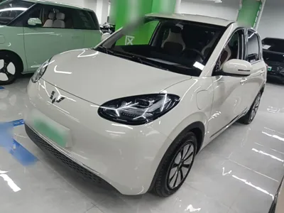Wuling Bingo