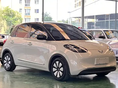 Wuling Bingo