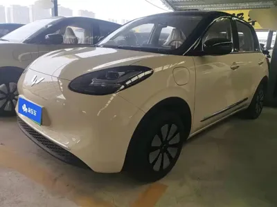 Wuling Bingo