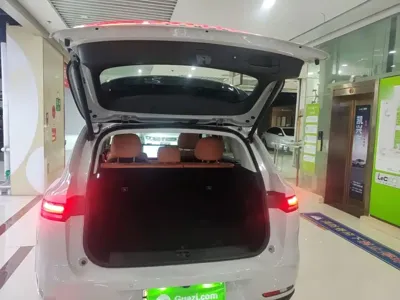 Leapmotor Leapmotor C10