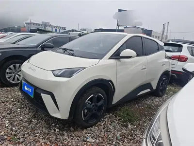 BYD Seagull