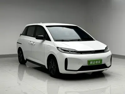 BYD D1