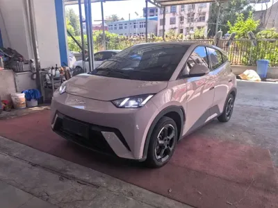 BYD Seagull