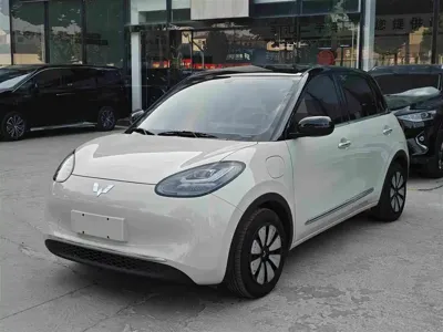 Wuling Bingo