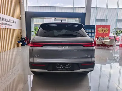 BYD Pro New Energy