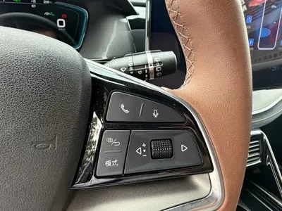 BYD Tang New Energy