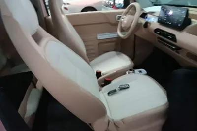 Geely Galaxy Panda