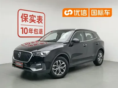 Borgward BX5