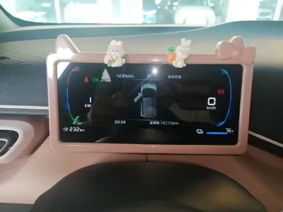 BYD Seagull