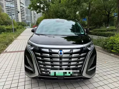 Denza Denza D9