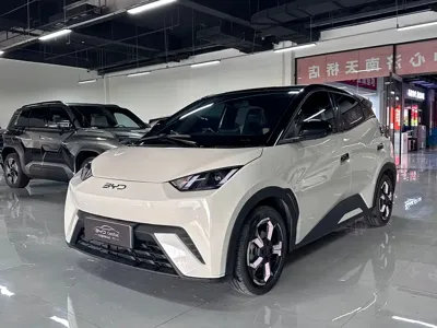 BYD Seagull