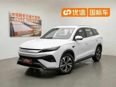 BYD Pro New Energy