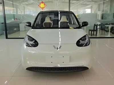 Wuling Bingo