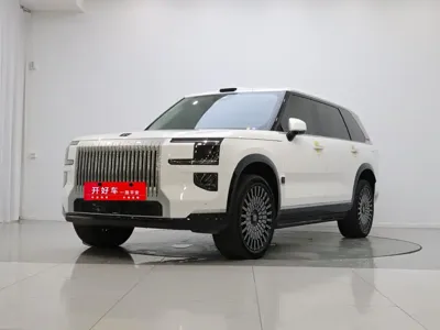 Zeekr 极氪9X