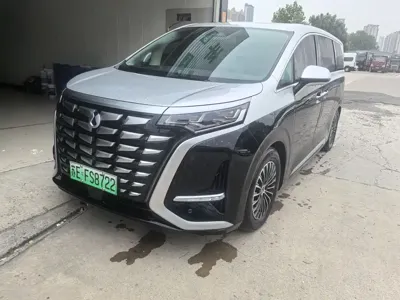 Denza Denza D9