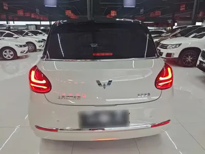 Wuling Bingo