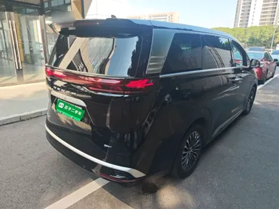 Denza D9