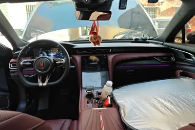 Hongqi H5