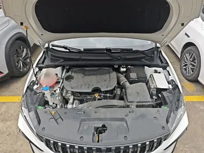 Geely Binrui