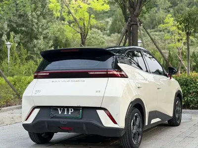 BYD Seagull