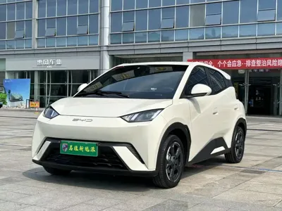 BYD Seagull