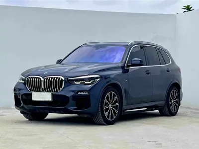 BMW X5 (Import)