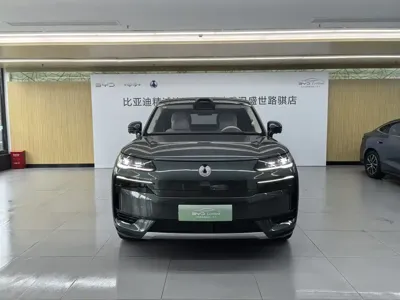 Denza 腾势N9