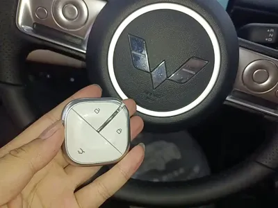 Wuling Bingo PLUS