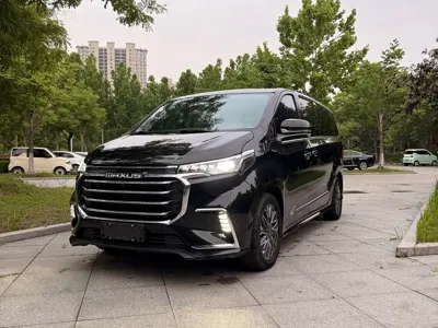大通 G20