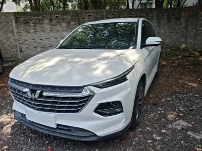 Wuling Victory