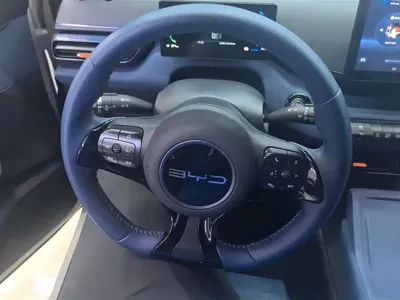 BYD Seagull