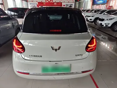 Wuling Bingo