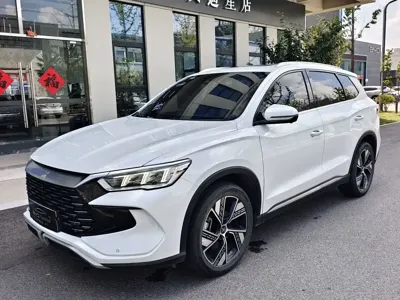 BYD Pro New Energy