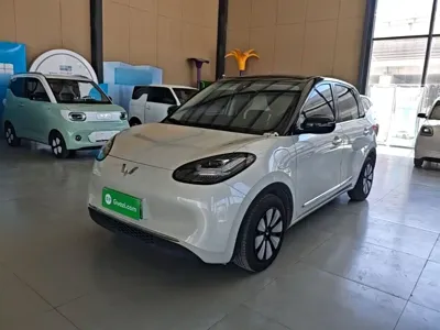 Wuling Bingo
