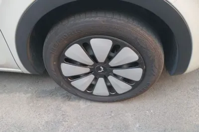 Wuling Bingo