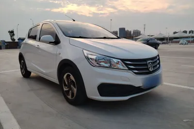 Baojun 310