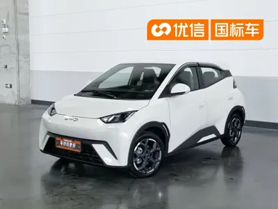 BYD Seagull