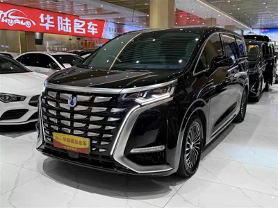 Denza Denza D9