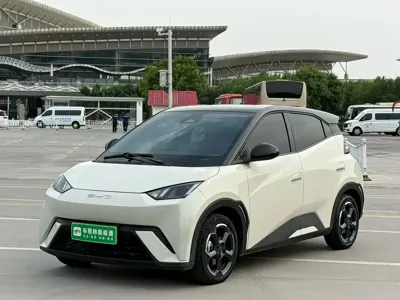 BYD Seagull