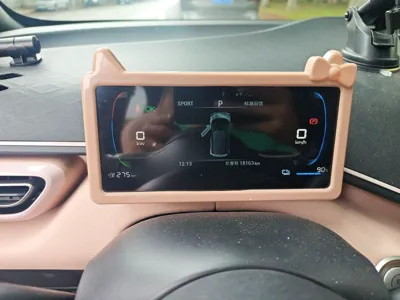 BYD Seagull