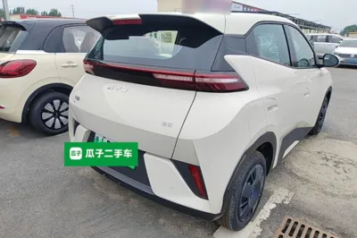 BYD Seagull