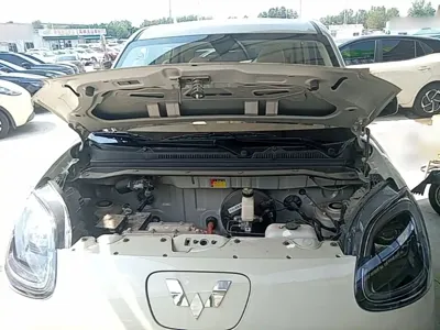 Wuling MINIEV