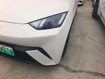 BYD Seagull