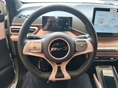 BYD Seagull